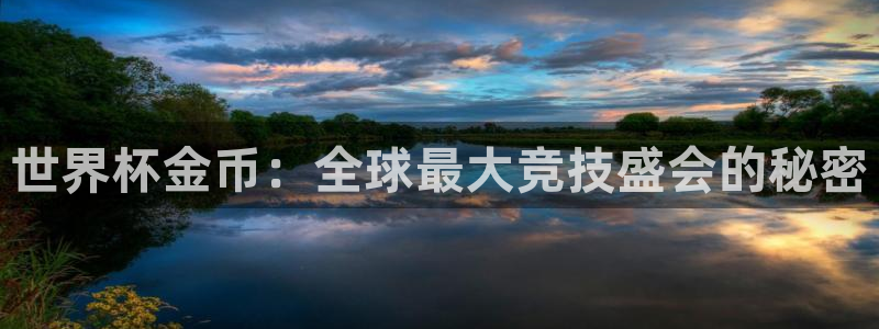 世界杯直播观看:世界杯金币:全球最大竞技盛会的秘密