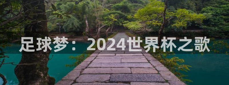 世界杯转播表:足球梦:2024世界杯之歌