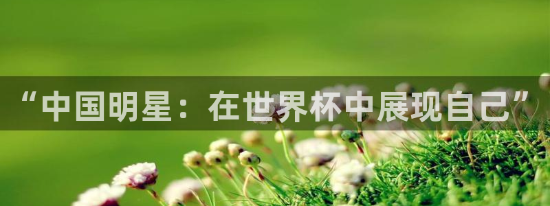 足球杯:“中国明星:在世界杯中展现自己”