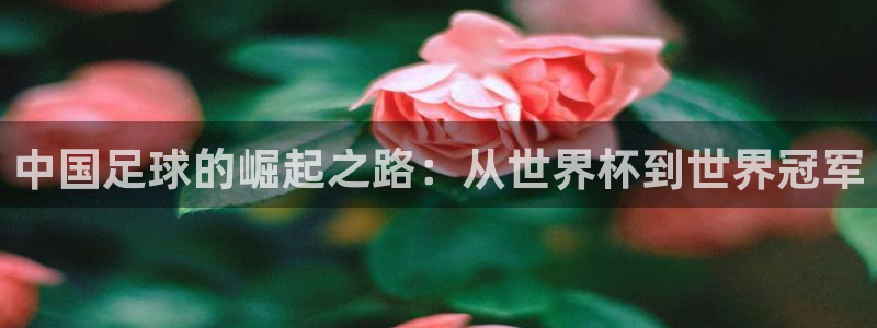 世界杯16强赛程表:中国足球的崛起之路:从世界杯到世界冠军
