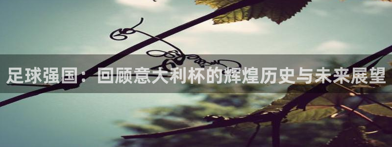 世界杯对阵表:足球强国:回顾意大利杯的辉煌历史与未来展望