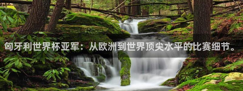 2026年世界杯时间表:匈牙利世界杯亚军:从欧洲到世界顶尖水平的比赛细节。