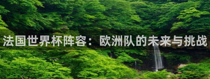 世界杯 2026:法国世界杯阵容:欧洲队的未来与挑战