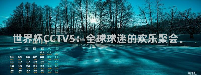 亚洲杯足球:世界杯CCTV5:全球球迷的欢乐聚会。
