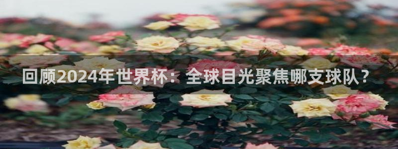 世界杯小组赛赛程:回顾2024年世界杯:全球目光聚焦哪支球队?