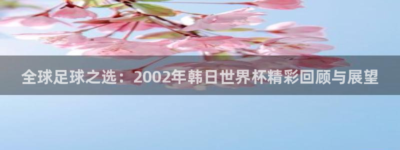 2026年世界杯对阵图:全球足球之选:2002年韩日世界杯精彩回顾与展望